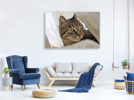 3-piece-canvas-print-favorite-cat