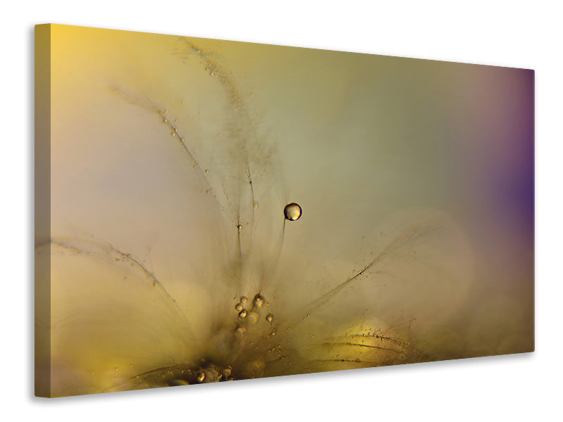 4-piece-canvas-print-feeling-of-a-new-day