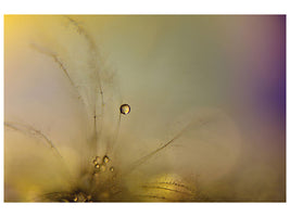 panoramic-canvas-print-feeling-of-a-new-day
