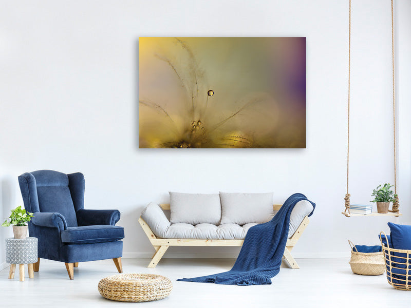 panoramic-canvas-print-feeling-of-a-new-day