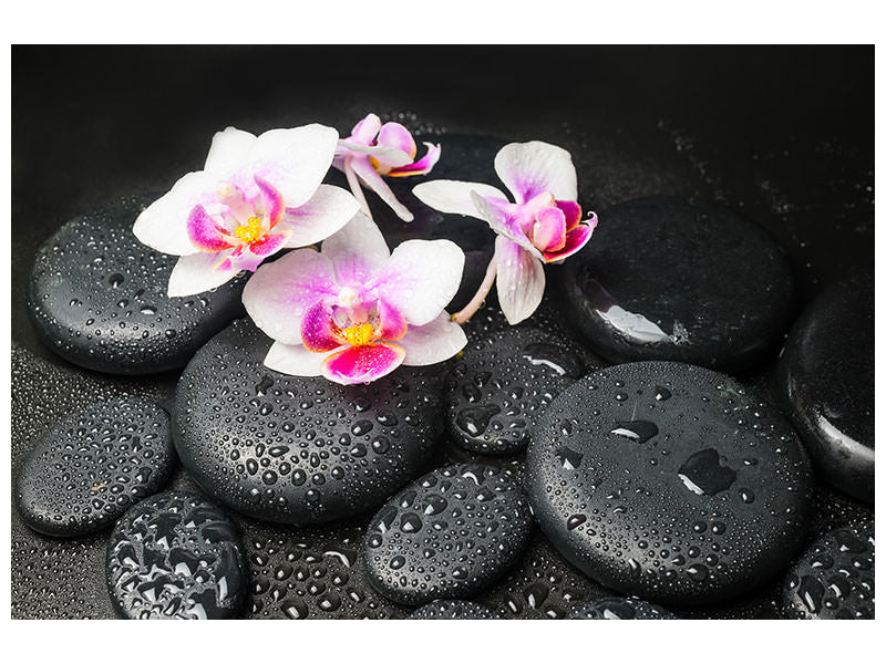 5-piece-canvas-print-feng-shui-orchid-zen