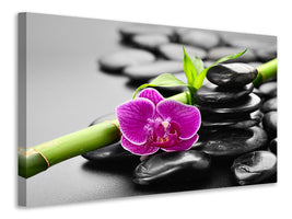 4-piece-canvas-print-feng-shui-orchid