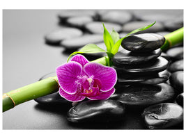 5-piece-canvas-print-feng-shui-orchid