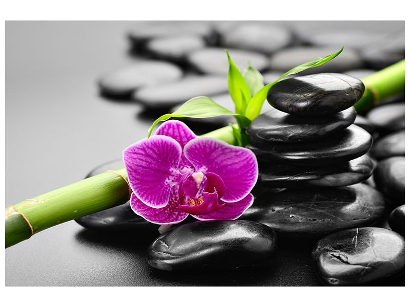5-piece-canvas-print-feng-shui-orchid