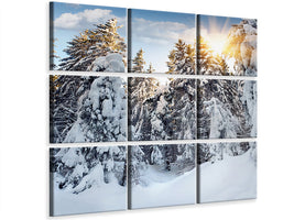 canvas-print-fir-in-snow