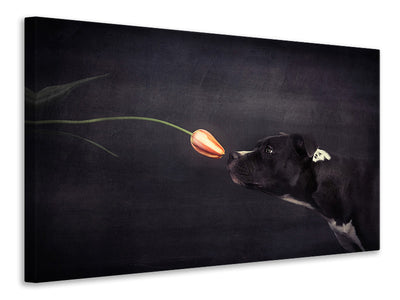 panoramic-3-piece-canvas-print-first-approach-hildegard-and-the-tulip