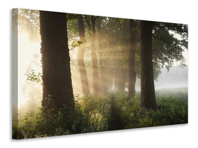 modern-4-piece-canvas-print-first-day-of-summer