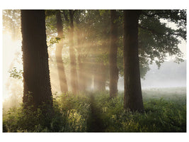 5-piece-canvas-print-first-day-of-summer