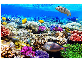 modern-4-piece-canvas-print-fish-aquarium