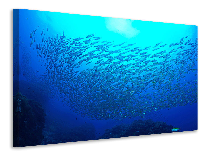 modern-4-piece-canvas-print-fish-world