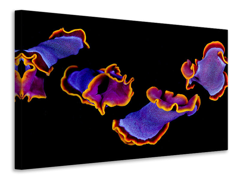 4-piece-canvas-print-flamenco