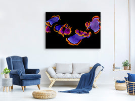 panoramic-canvas-print-flamenco