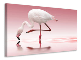 3-piece-canvas-print-flamingo