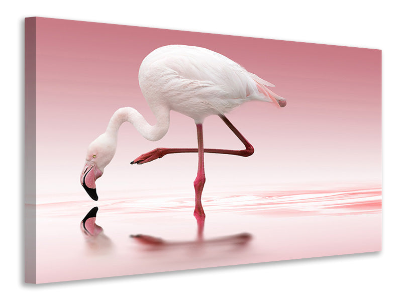 3-piece-canvas-print-flamingo