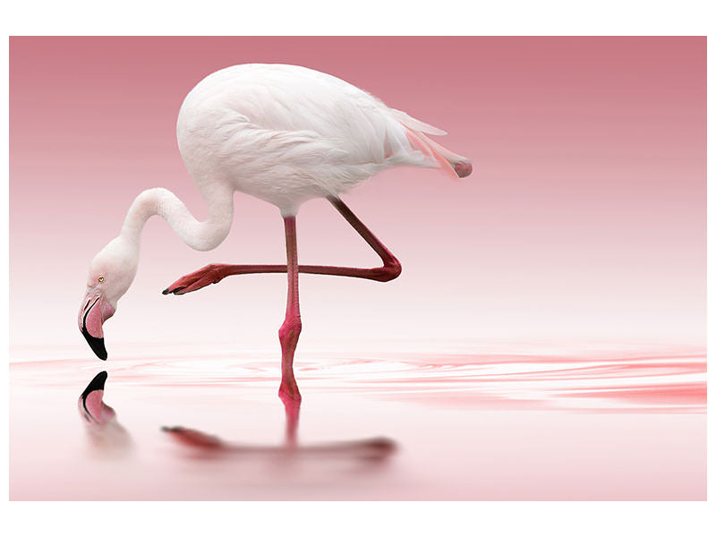 3-piece-canvas-print-flamingo