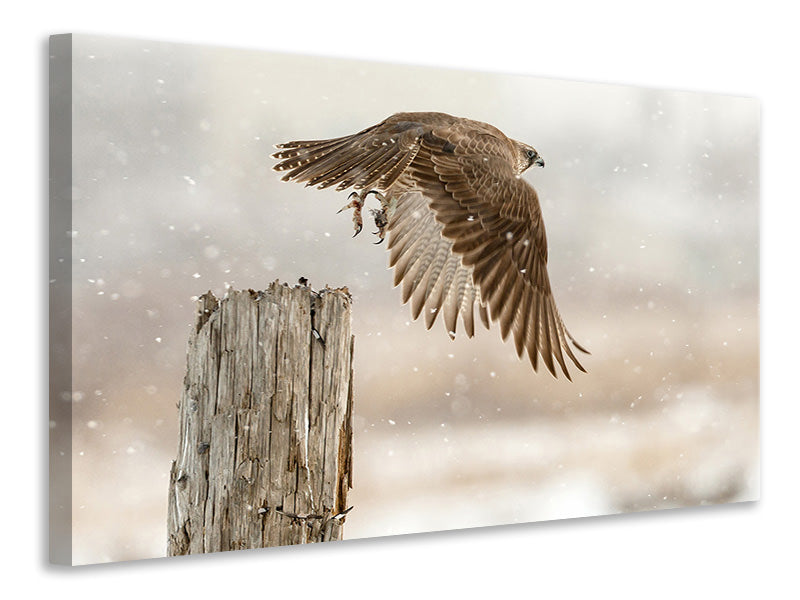 3-piece-canvas-print-flight-against-the-snowstorm