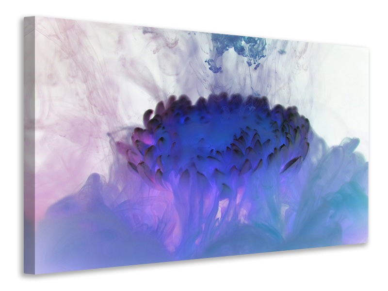 panoramic-canvas-print-floating-art-ii