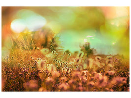 4-piece-canvas-print-flower-meadow-at-twilight