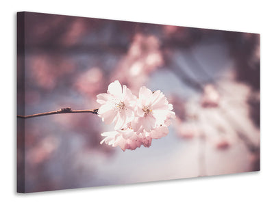modern-3-piece-canvas-print-flower-xl