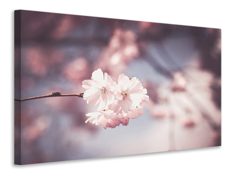 4-piece-canvas-print-flower-xl