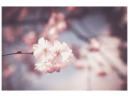 5-piece-canvas-print-flower-xl
