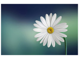 3-piece-canvas-print-flower