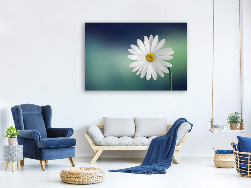 5-piece-canvas-print-flower