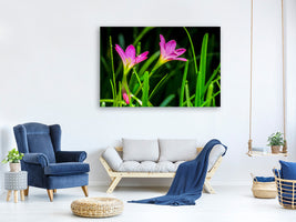 3-piece-canvas-print-flowers-in-nature