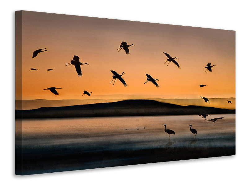 5-piece-canvas-print-fly-in-at-sunset