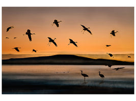 4-piece-canvas-print-fly-in-at-sunset