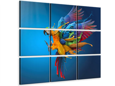 canvas-print-flying-colours