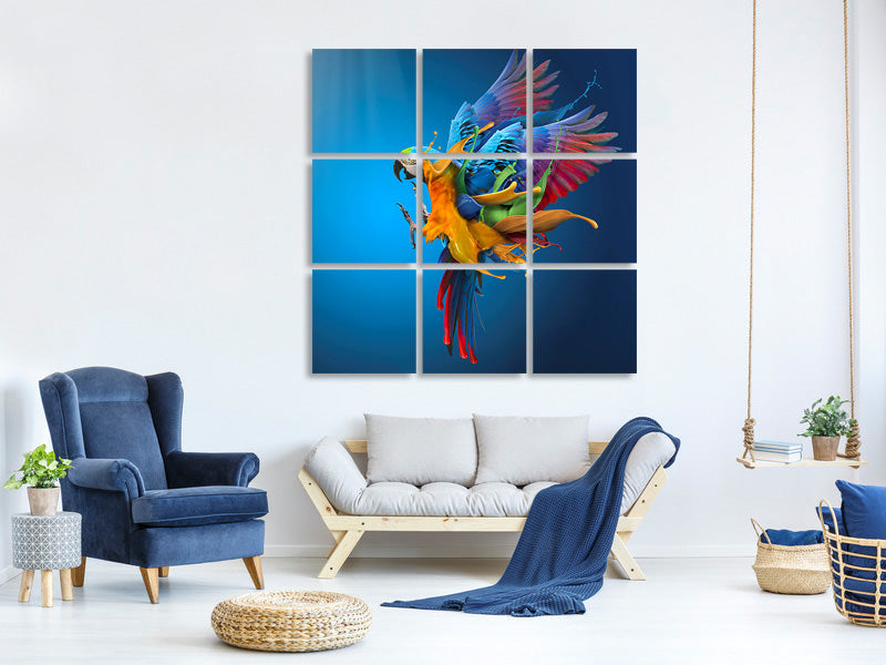 canvas-print-flying-colours