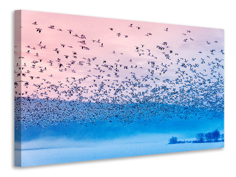 panoramic-canvas-print-flying-in-the-fogging-morning