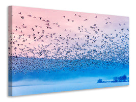 modern-3-piece-canvas-print-flying-in-the-fogging-morning