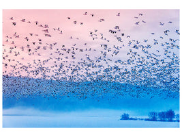 3-piece-canvas-print-flying-in-the-fogging-morning