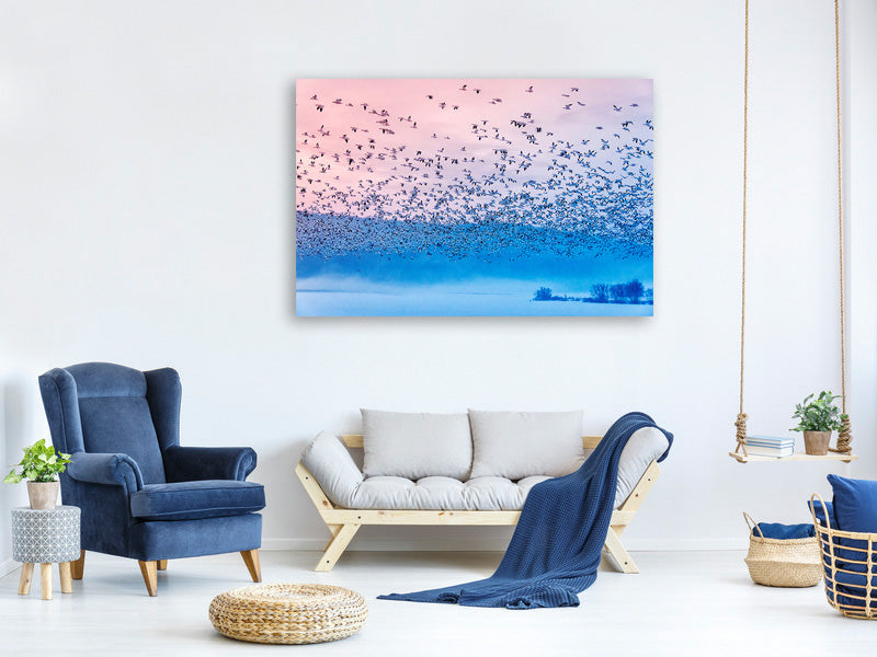 panoramic-3-piece-canvas-print-flying-in-the-fogging-morning
