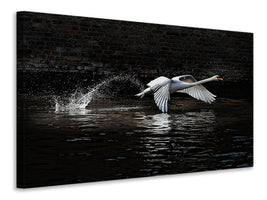 3-piece-canvas-print-flying-swan