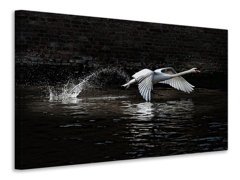 3-piece-canvas-print-flying-swan