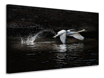 modern-3-piece-canvas-print-flying-swan