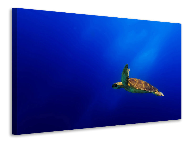 modern-4-piece-canvas-print-flying