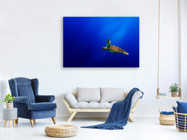 modern-4-piece-canvas-print-flying