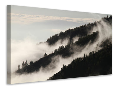 modern-3-piece-canvas-print-fog-in-the-woods
