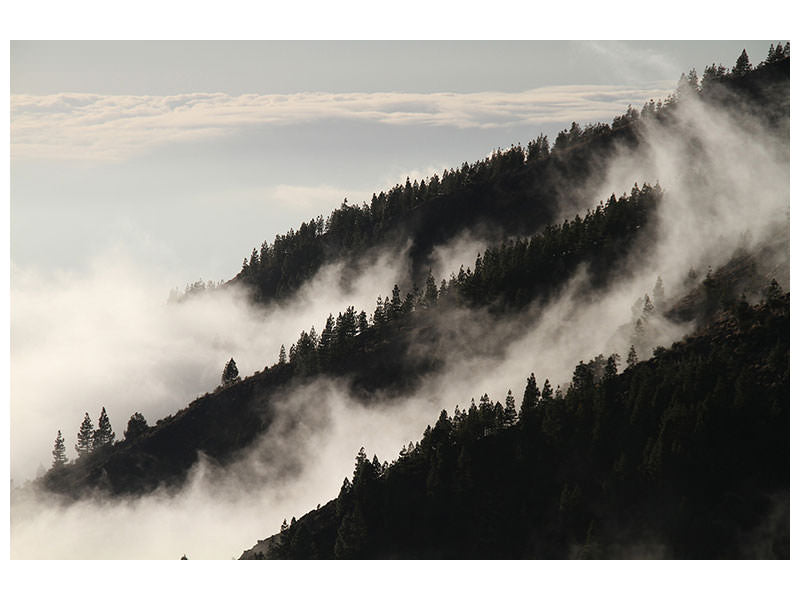 modern-4-piece-canvas-print-fog-in-the-woods