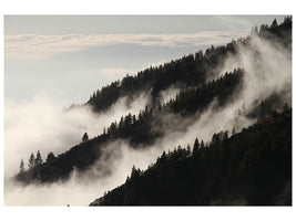 4-piece-canvas-print-fog-in-the-woods
