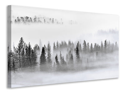 panoramic-canvas-print-foggy-forest