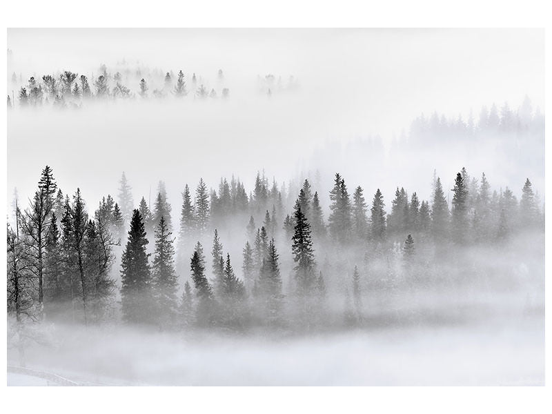 4-piece-canvas-print-foggy-forest