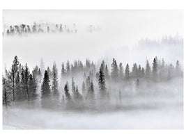 panoramic-canvas-print-foggy-forest