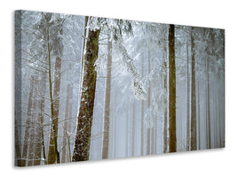 modern-4-piece-canvas-print-forest-in-winter