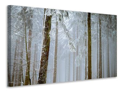 3-piece-canvas-print-forest-in-winter