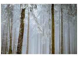 3-piece-canvas-print-forest-in-winter